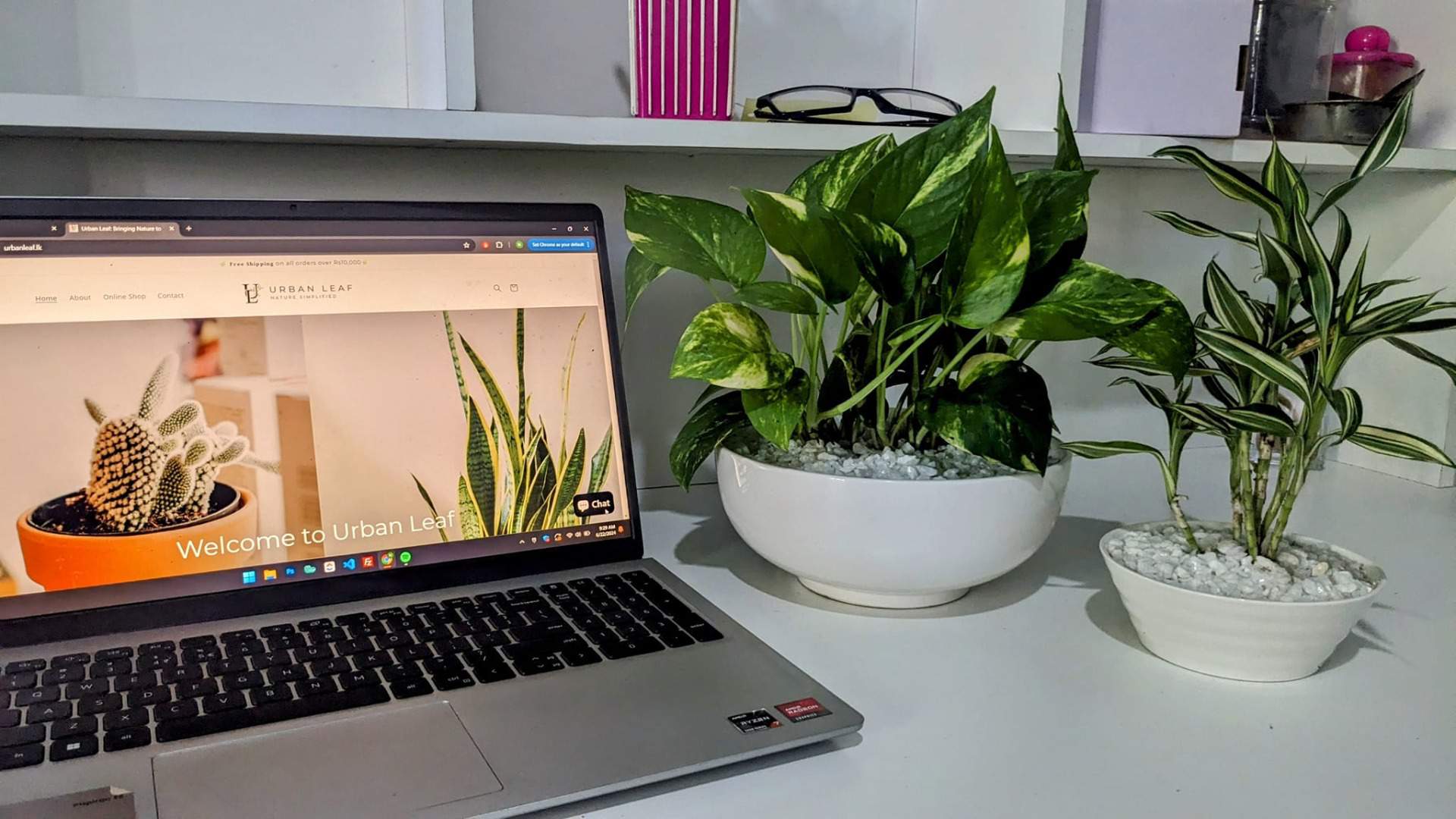 Sri Lankan indoor plant gallery