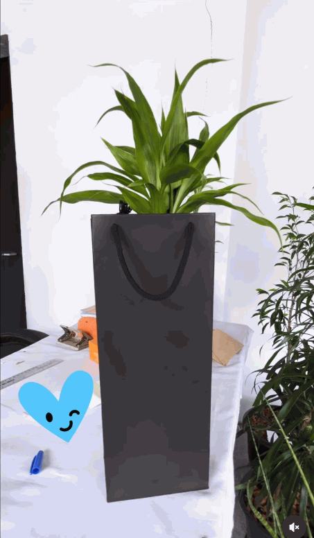 Sri Lankan indoor plant gallery